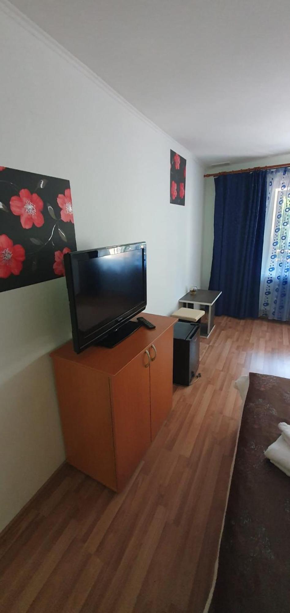 Pensiunea Flora Cîrţişoara 部屋 写真