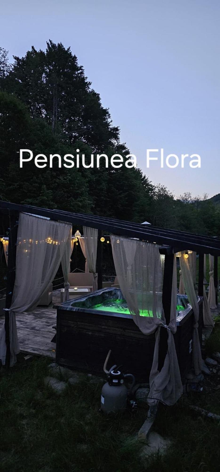 Pensiunea Flora Cîrţişoara エクステリア 写真